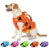 Dogcheer gilet sauvetage chien double poignée, pratique pour sortir le chien de l’eau rapidement.