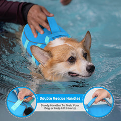 Dogcheer harnais flottant pour chien, confort et mouvement naturel pendant la baignade.