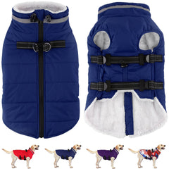Dogcheer manteau imperméable bleu M sur chien lors d'une promenade.