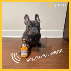 Dogelo jouet chien sifflet interactif stimule l activité mentale