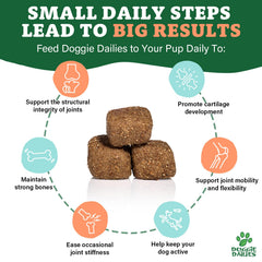 Doggie Dailies dosage par taille, répartition précise selon le poids