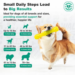 Doggie Dailies – emballage-friandise, emballage pratique et sûr.