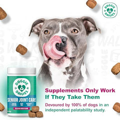 Doggie Dailies glucosamine-chondroitine: formulation complète pour le confort articulaire.