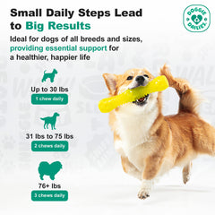 Doggie Dailies oméga-turmerique: mélange riche pour peau et pelage sains.