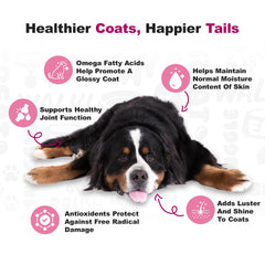 Doggie Dailies omega3 krill coco peau et poil sains