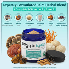 Doggie Herbs Ginseng et Astragale — duo TCM pour renforcer le soutien immunitaire quotidien