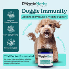 Doggie Herbs Turkey Tail et Reishi — extraits activés pour une biodisponibilité accrue des actifs
