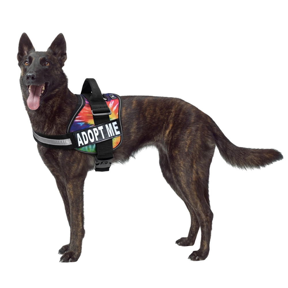Doggie Stylz Adopt Me harnais nylon avec visibilité accrue pendant les sorties.