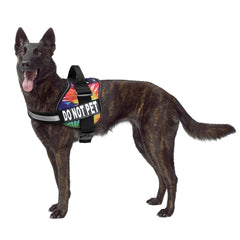 Harnais Doggie Stylz patch ne pas caresser pour demander l'espace.