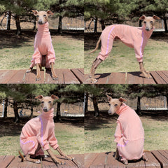 Doggystar col montant, vue détail, design pratique pour enfiler facilement le vêtement.