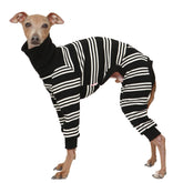 doggystar combi-chien greyhound italien rayures ivoire 3xl pour confort quotidien