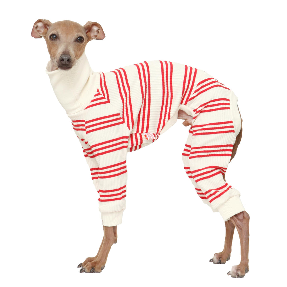 DoggyStar combinaison chien lévrier italien: enfilage facile et confort.