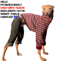 Doggystar détail coutures sur ig denim, robustesse et confort.