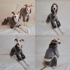 Détail capuche avec logo doggystar pour un look premium.