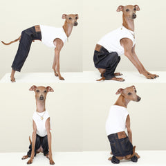 doggystar détail denim sur le dos, couture souple adaptée aux chiens élancés.