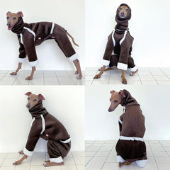 Doggystar enfliage facile iggy, mise en place rapide et pratique