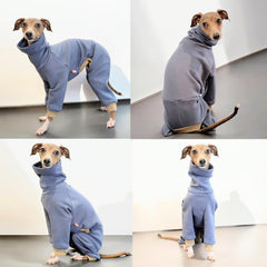 Doggystar fermeture facile pour enfiler et retirer rapidement.