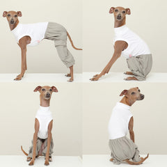 Doggystar fermeture simple pour combinaison: habillage facilité