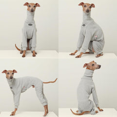 Doggystar Iggy tout-en-un, polaire brossée pour chaleur légère lors des sorties