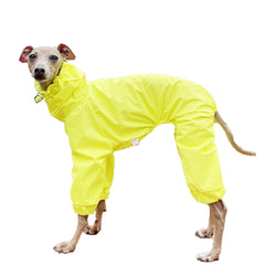 Doggystar imperméable pour lévrier italien – vue avant, protection pluie efficace.