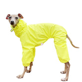 Doggystar imperméable Lévrier Italien Jaune XL – protection pluie et visibilité.