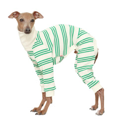 doggystar combinaison rayure verte pour lévrier italien, confort durable