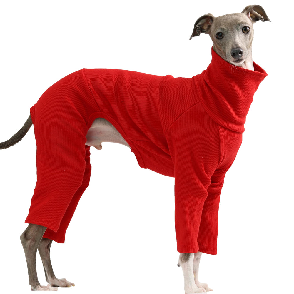 Doggystar onesie rouge extensible pour lévrier italien, facile à enfiler.