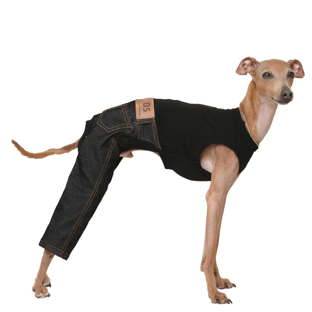 Doggystar jean sans manches noir pour lévrier italien, confort et enfilage faciles.