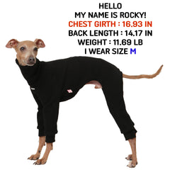 Vêtement doggystar à texture brossée douce pour lévrier italien lors des journées froides.