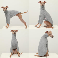 Doggystar maille brossée gris, douceur et isolation légère.