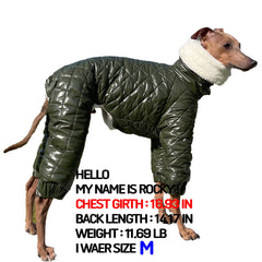 doggystar manteau-neige-italian-greyhound arrière, couverture du dos chaude