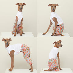 Doggystar Mombbe combinaison-chien galgo italien orange, dos, facilité d'enfilage.