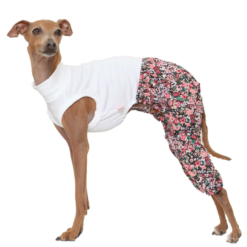 Doggystar Mombbe : combinaison lévrier italien noir, douceur et confort.