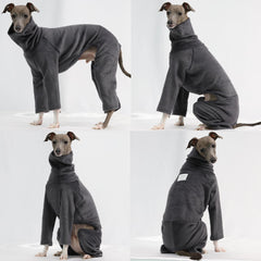 Doggystar ouverture facile pour enfiler sans stress et sans tirer.