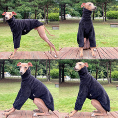 doggystar detail dos long: coupe adaptée au dos long du levrier