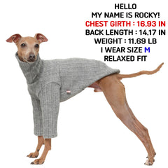 Doggystar style moderne gris tricot, look élégant pour levrier italien.