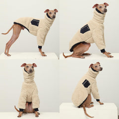 Doggystar tee-shirt chaud, confort maximal pour promenades hivernales.