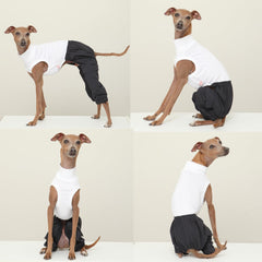 Doggystar tissu doux pour chien, confort chaleureux et douceur contre le pelage.