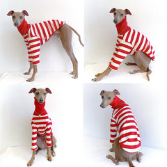 Doggystar T-shirt coton élastique, douceur et mobilité pour promenades.
