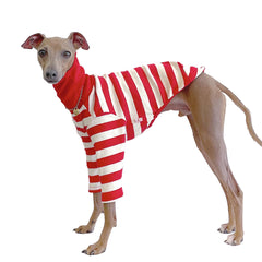 Doggystar T-shirt pour lévrier italien et whippet, rayures rouge ivoire, confort optimal.