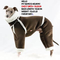Doggystar turtleneck iggy, col montant pour un look cocooning
