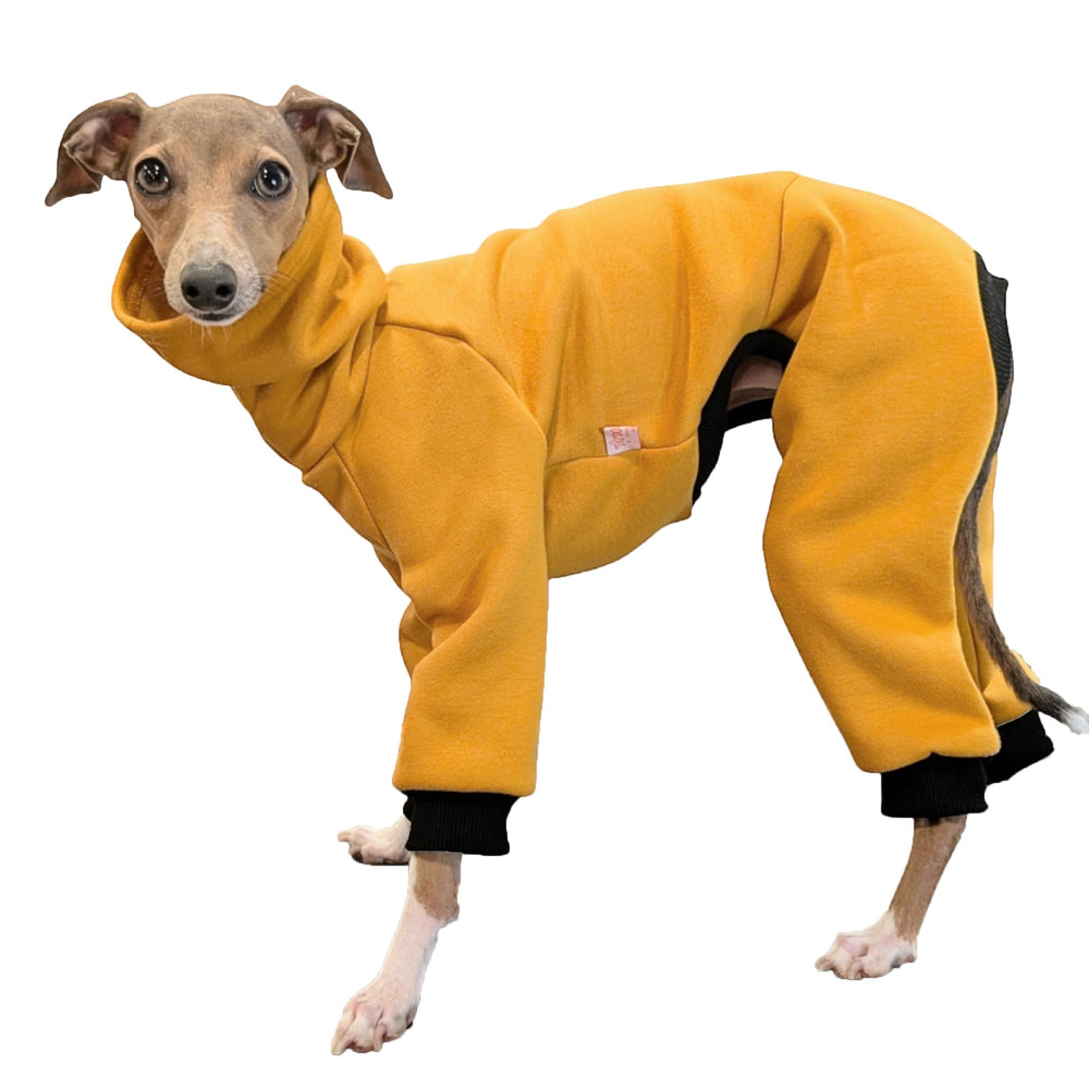 Doggystar gilet pour Italian Greyhound, vue visage, chaleur douce possible.