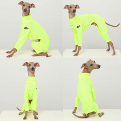 Visibilité nocturne améliorée grâce au néon Doggystar pour des promenades plus sûres.