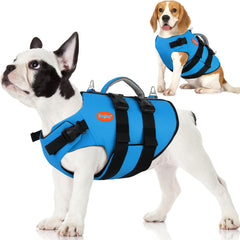 Doglay gilet nage chien en néoprène, aperçu avant, confort et flottabilité.
