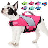 Gilet Doglay pour chien ajustable, confort et flottabilité lors de la natation.