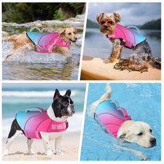 Doglay gilet sauvetage chien visibilite elevee et reflechissants pour la securite.