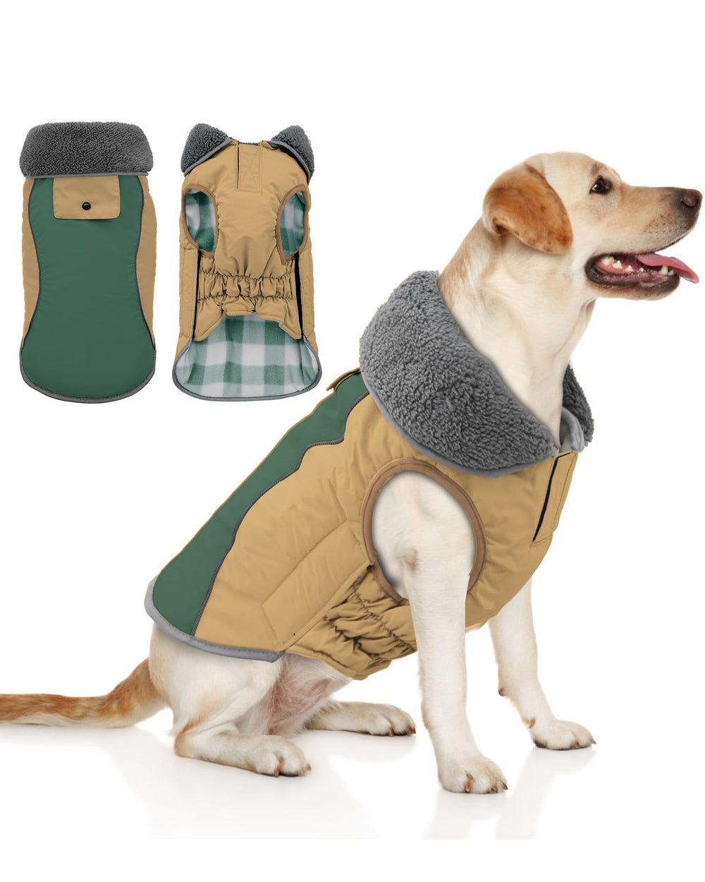 Doglay manteau chien imperméable, protection contre pluie et vent lors des balades.