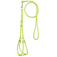Harnais Dogline en cuir véritable doux sur chien, confort et sécurité visibles.