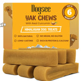 Dogsee Himalayan Yak Chews au curcuma — emballage visible, longue durée pour chiens actifs.