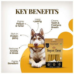 Aide potentielle à l’hygiène dentaire lors du jeu avec Dogsee Yak Chews.